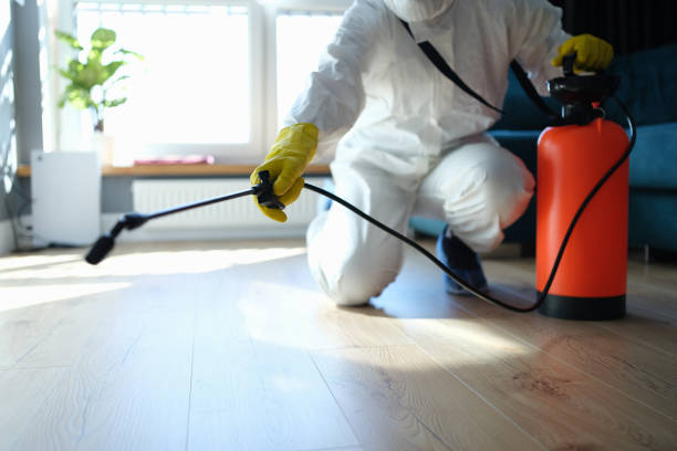 Reliable Blood Cleanup contractor in Saint Stephen, SC by Trauma Clean Pros